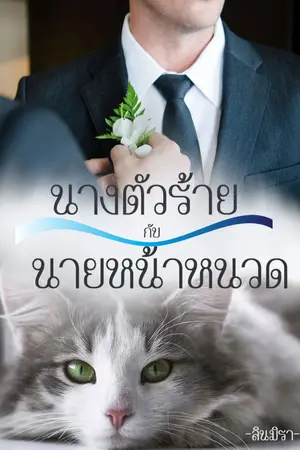 ปกนิยาย