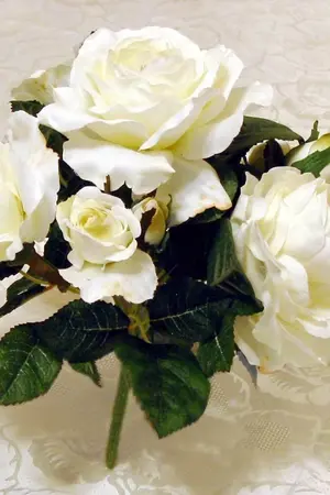 ปกนิยาย My lovely mafia  มาเฟียที่น่ารักของผม *BL*