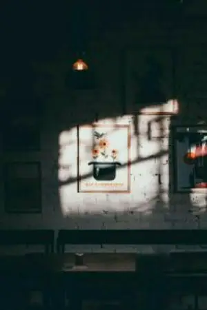 ปกนิยาย os/sf | jaedo,nomin