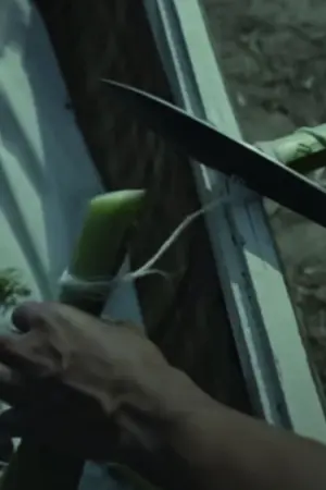 ปกนิยาย ขอให้คุณมีความสุข