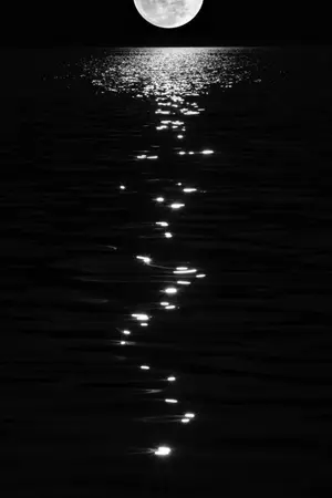 ปกนิยาย Once in the Moon