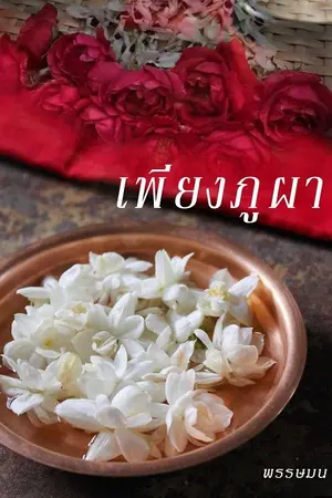 ปกนิยาย เพียงภูผา