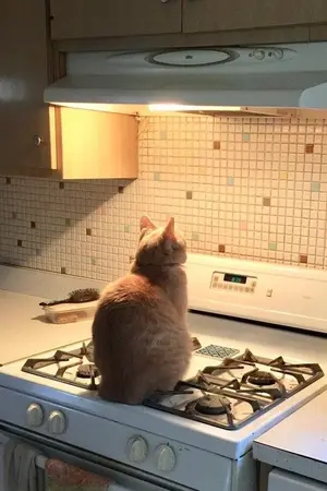 ปกนิยาย (os/sf) love like you ノchanbaek