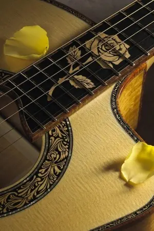 ปกนิยาย บทเพลงของกล่องไม้ผู้จาบัลย์ [Mpreg]