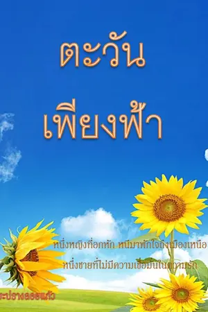 ปกนิยาย ตะวันเพียงฟ้า
