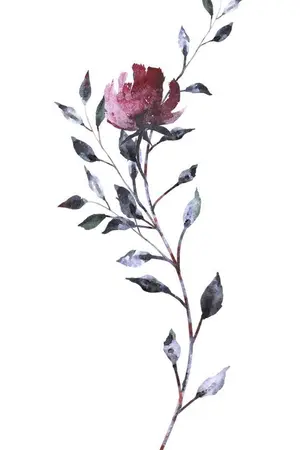 ปกนิยาย ธี ร์ ข อ ง น่ า น น้ำ