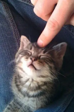 ปกนิยาย seventeen A to Z (minwon)