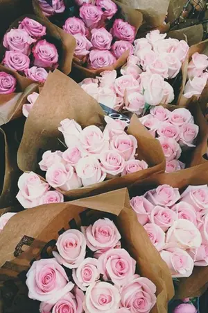 ปกนิยาย 0102 ; linho