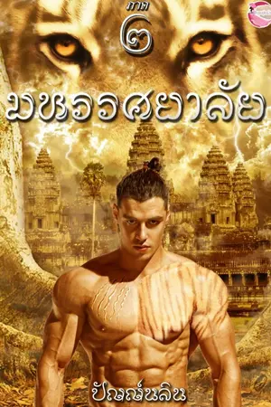 ปกนิยาย