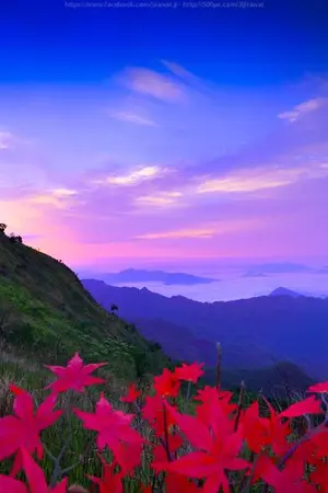 ปกนิยาย Chiang Rai (chanbaek)