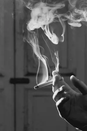 ปกนิยาย {All things} Short story & Fanfiction by MllECORPs