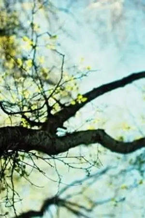 ปกนิยาย ความรู้การพยาบาล และข้อวินิจฉัยทางการพยาบาล ภาค 2