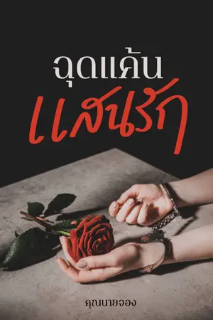 ปกนิยาย ฉุดแค้นแสนรัก