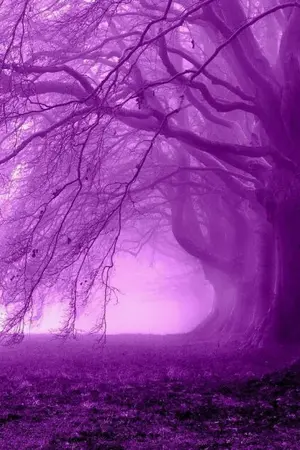 ปกนิยาย มี่เฟยหง โฉมสะคราญนางมารล่มภพ(ใกล้อัพแล้ว รออีกนิดหนึ่งน้า~)