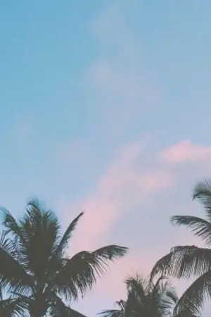 ปกนิยาย ถ้าเรา....