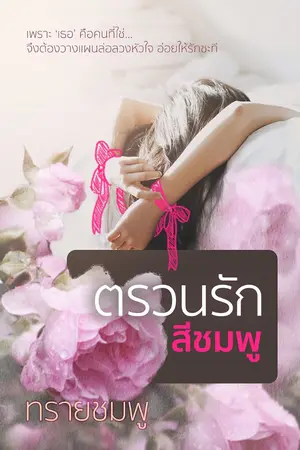 ปกนิยาย ตรวนรักสีชมพู (e-book)