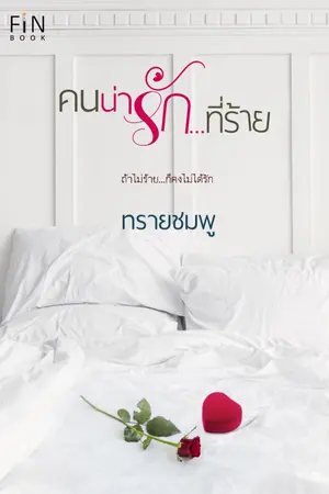 ปกนิยาย