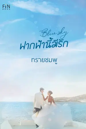 ปกนิยาย