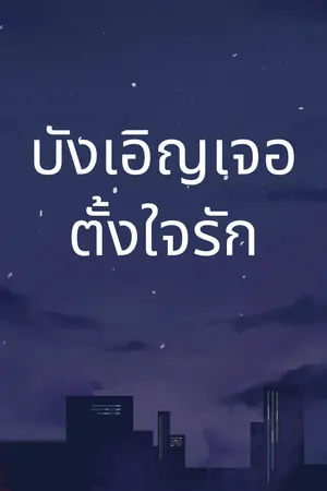 ปกนิยาย บังเอิญเจอ ตั้งใจรัก