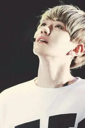 ปกนิยาย ดวงใจ  My wolf ChanBaek