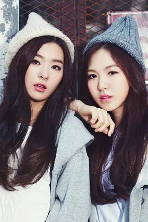 ปกนิยาย Heartbeat │Seulgi x Wendy