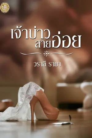 ปกนิยาย