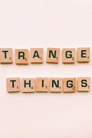 ปกนิยาย OS Playlists-JD