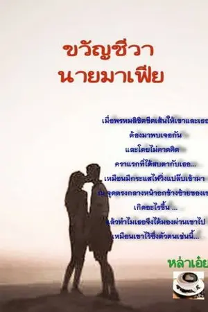 ปกนิยาย