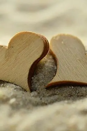 ปกนิยาย บ่วงรัก