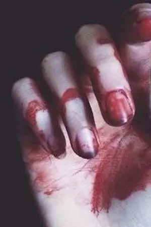 ปกนิยาย (fic seventeen) ━ 💎THE EVANESCE。