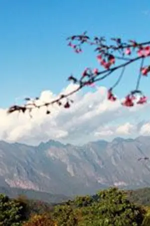 ปกนิยาย ดาริกาเร้นรัก