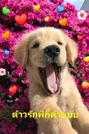 ปกนิยาย #สมบัติของกีกี้  (omegaverse)