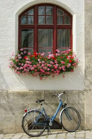 ปกนิยาย Neighbor mine พี่รักนายน้องชายข้างบ้าน