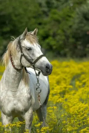 ปกนิยาย ฉันไม่รู้ว่ามันคือ...รัก