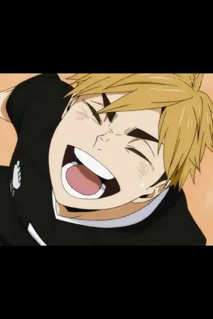 ปกนิยาย [Haikyuu]หมอสัตว์กับเด็กหลง(oc/yaoi)