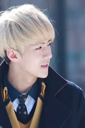 ปกนิยาย Fic [exo] Sehun x You