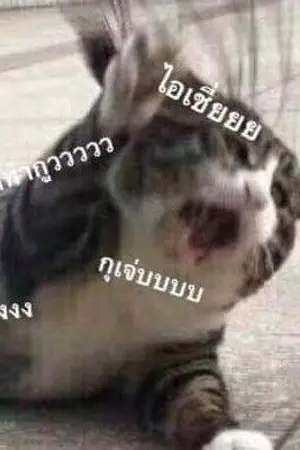 ปกนิยาย แมวคือตัวป่วน (⁎˃ᆺ˂)