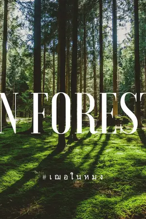 ปกนิยาย [EXO XIUCHEN] IN FOREST #เฌอในหมง