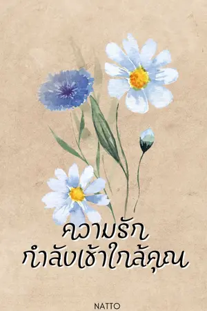 ปกนิยาย ติดเหรียญ 21/09/66 (มีEbook) ความรักกำลังเข้าใกล้คุณ