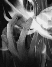 ปกนิยาย ยมธารา: อัทธาแห่งผู้วายชนม์