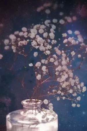 ปกนิยาย วาสนาหวนคืน | จีนโบราณ