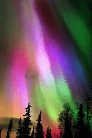 ปกนิยาย ✨เฟยเจียวจิน🌈(飛娇金)✨