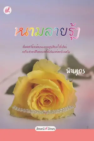 ปกนิยาย