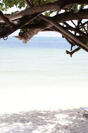 ปกนิยาย คนพิเศษของพี่ (ตอน2) : ความรู้สึกนี้คือ?? : เป๊กทอม