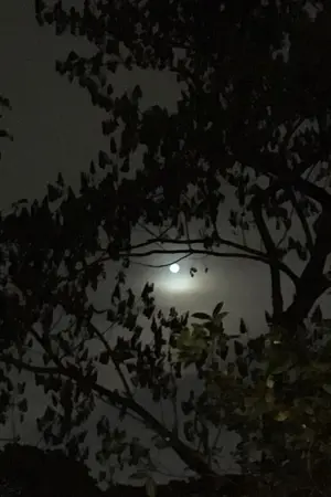 ปกนิยาย เรื่องสั้น เป๊กทอม 4 : Mystery Night คืนเปลี่ยว