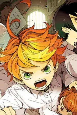 ปกนิยาย the promised neverland | oc | FreeDom