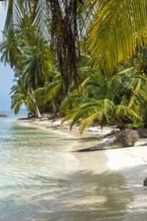 ปกนิยาย แอบรัก