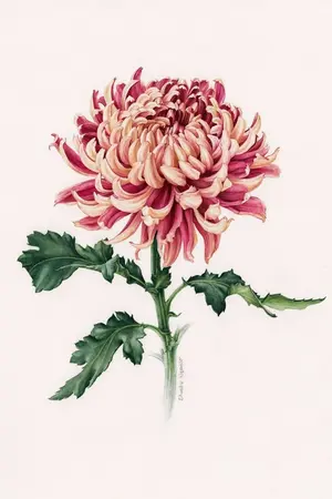 ปกนิยาย อหังการดอกไม้ [勇敢花]