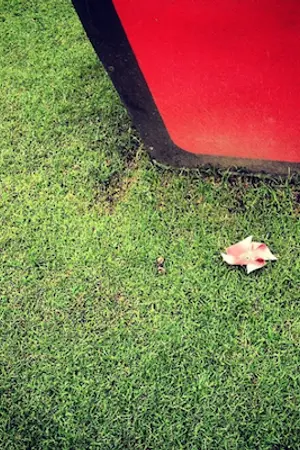 ปกนิยาย หนึ่งหมื่นวิธีที่จะมีความรัก: หัวใจสีขาว