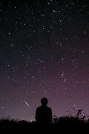 ปกนิยาย เพราะดาว